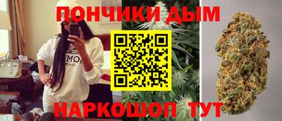 дмт Сланцы