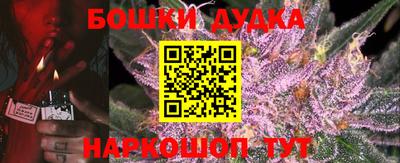 МДПВ Славгород