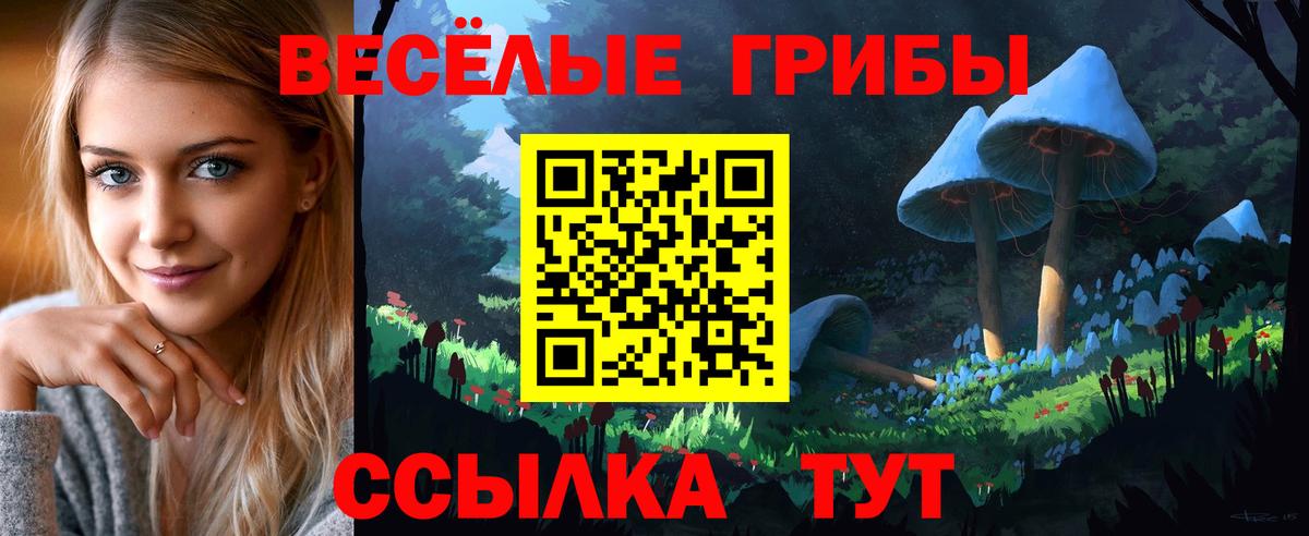 Галлюциногенные грибы Magic Shrooms Советская Гавань
