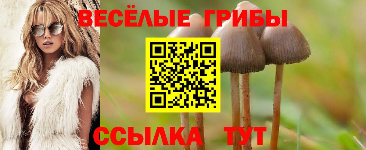 Псилоцибиновые грибы прущие грибы  Вход с VPN  Советская Гавань 